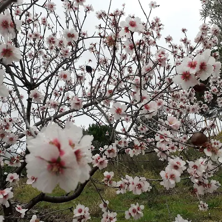 Апартаменты Casa Azul & Blanca